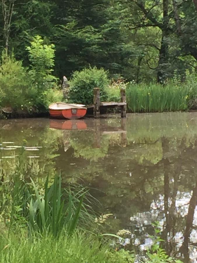 Le Gite Du Petit Renard: A Tranquil Gite With Pool Oradour-Saint-Genest エクステリア 写真