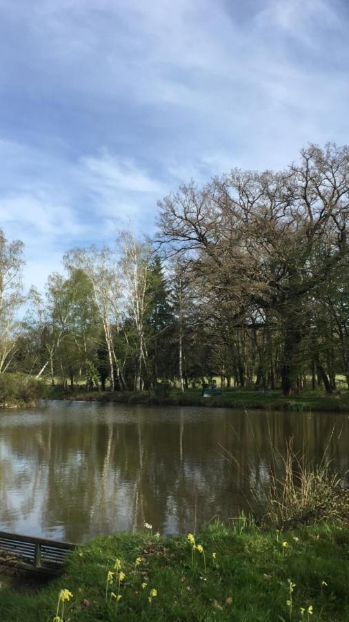 Le Gite Du Petit Renard: A Tranquil Gite With Pool Oradour-Saint-Genest エクステリア 写真