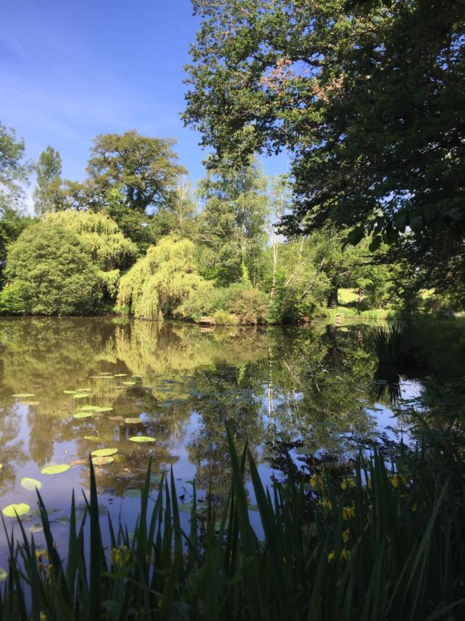 Le Gite Du Petit Renard: A Tranquil Gite With Pool Oradour-Saint-Genest エクステリア 写真