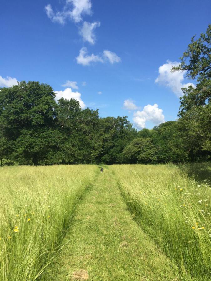 Le Gite Du Petit Renard: A Tranquil Gite With Pool Oradour-Saint-Genest エクステリア 写真