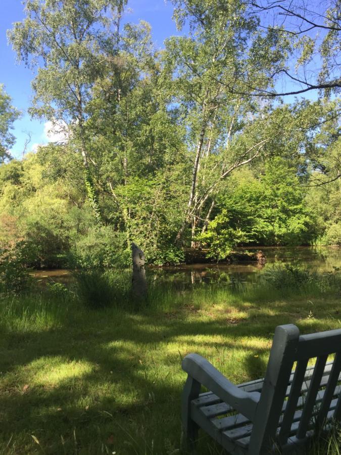 Le Gite Du Petit Renard: A Tranquil Gite With Pool Oradour-Saint-Genest エクステリア 写真